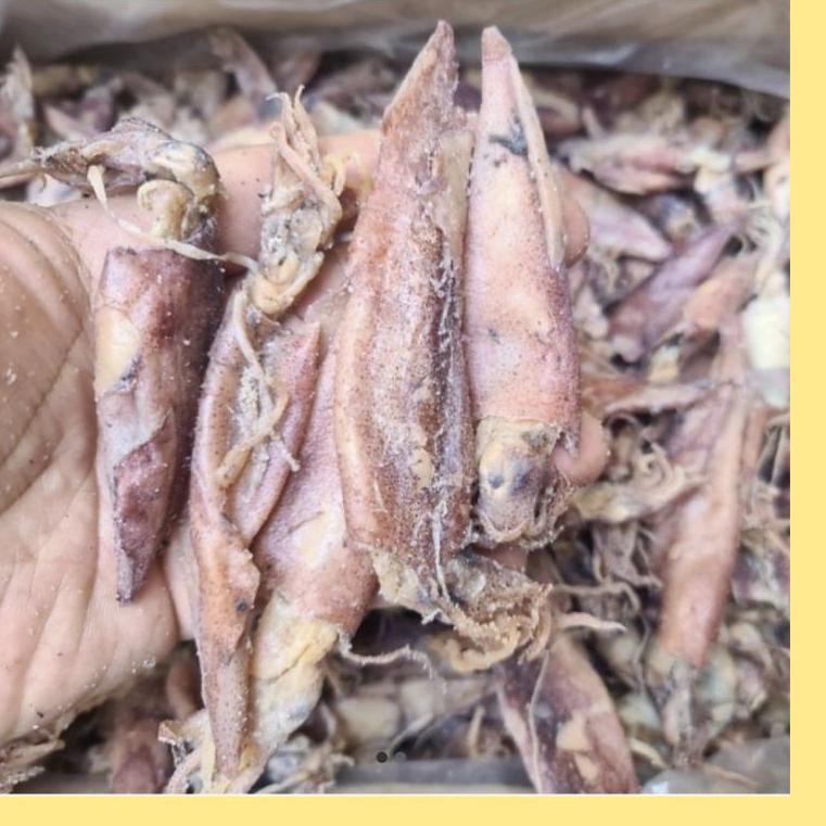 

PRODUK TREND Cumi Asin 250gr - Cumi-cumi Asin 3280 こ