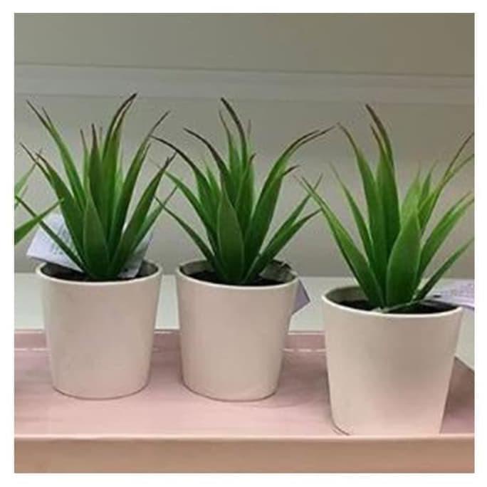 FEJKA Sukulen Tanaman Hias Mini 6cm Hiasan Bunga Plastik Dekorasi