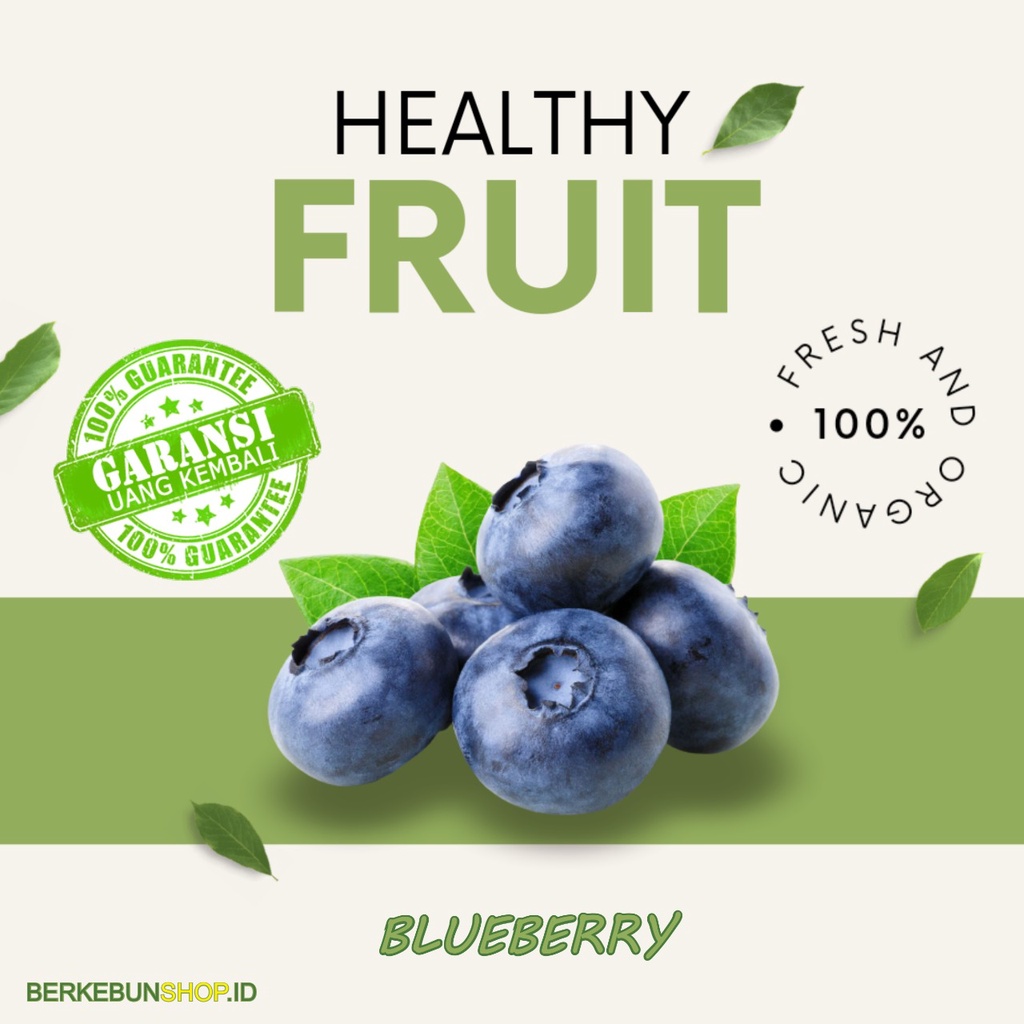 Bibit Buah Blueberry Bluebery Bluberi Import Jamfruit Manis Cepat Berbuah Super Unggul Original Berk