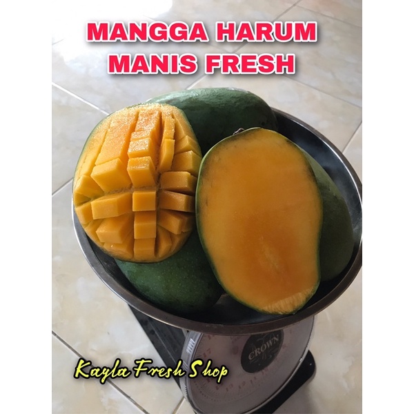 

BUAH MANGGA HARUM MANIS DIJAMIN SEGAR