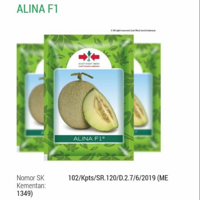 Benih bibit Melon ALINA F1 500 butir