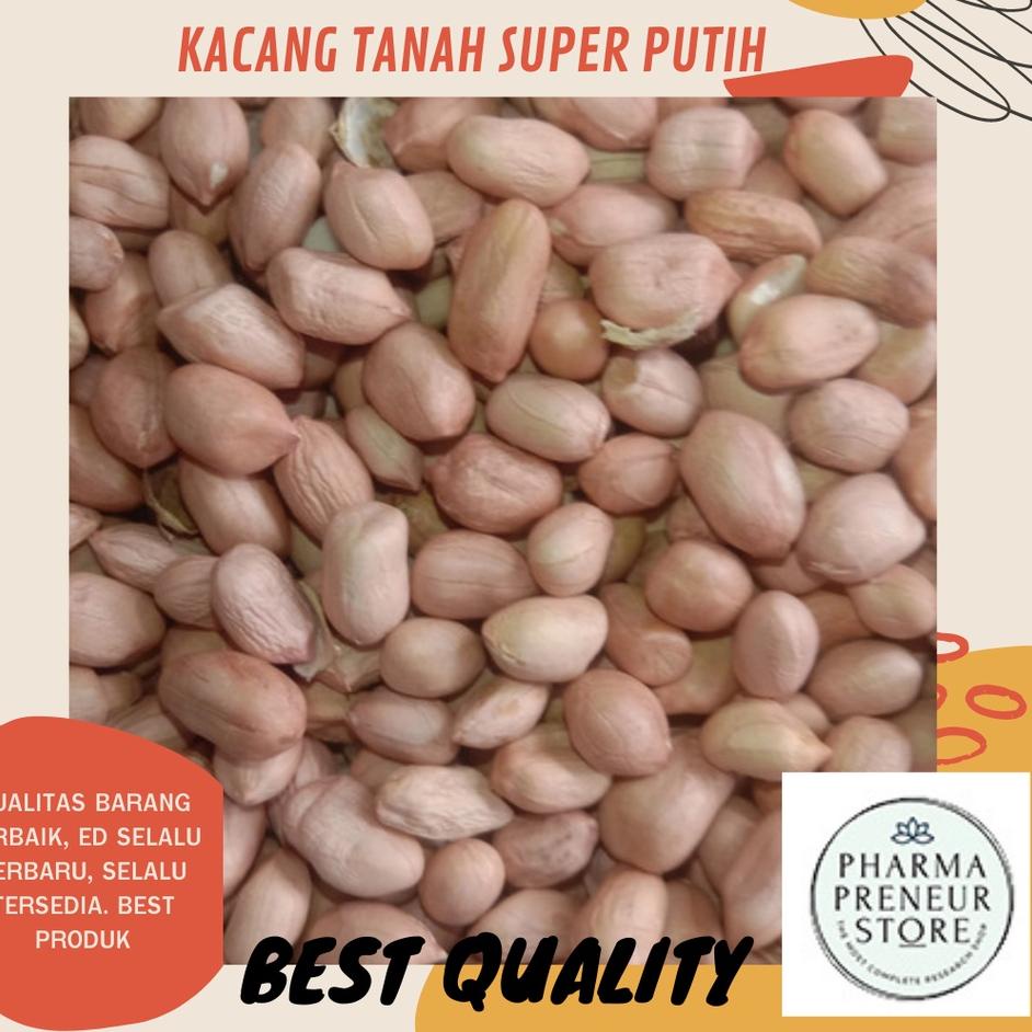 

TrxI3u8T--KACANG TANAH SUPER PUTIH 500 GRAM DAN 1000 GRAM NO.1 BEST QUALITY MURAH BANGET!!! UNTUK ANEKA KUE DAN MASAKAN