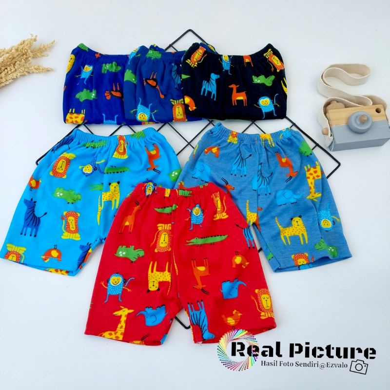 6PCS CELANA PENDEK BAYI PRINTING 0-6 BULAN