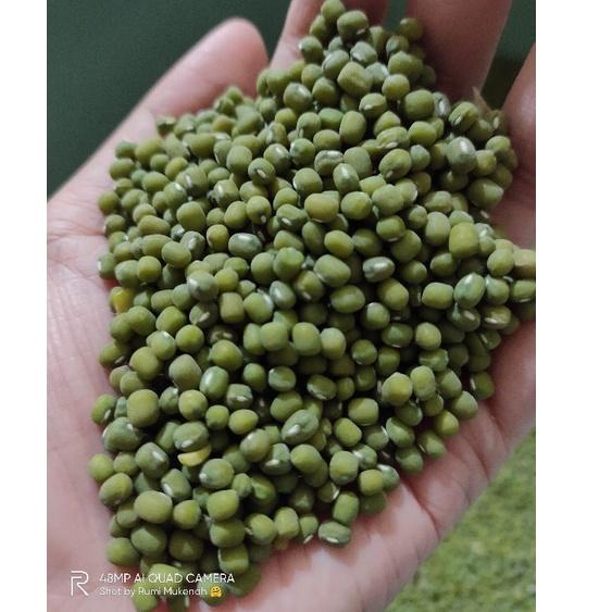 

TERBAIK {COD} KACANG HIJAU 1KG 2588 ㄱ