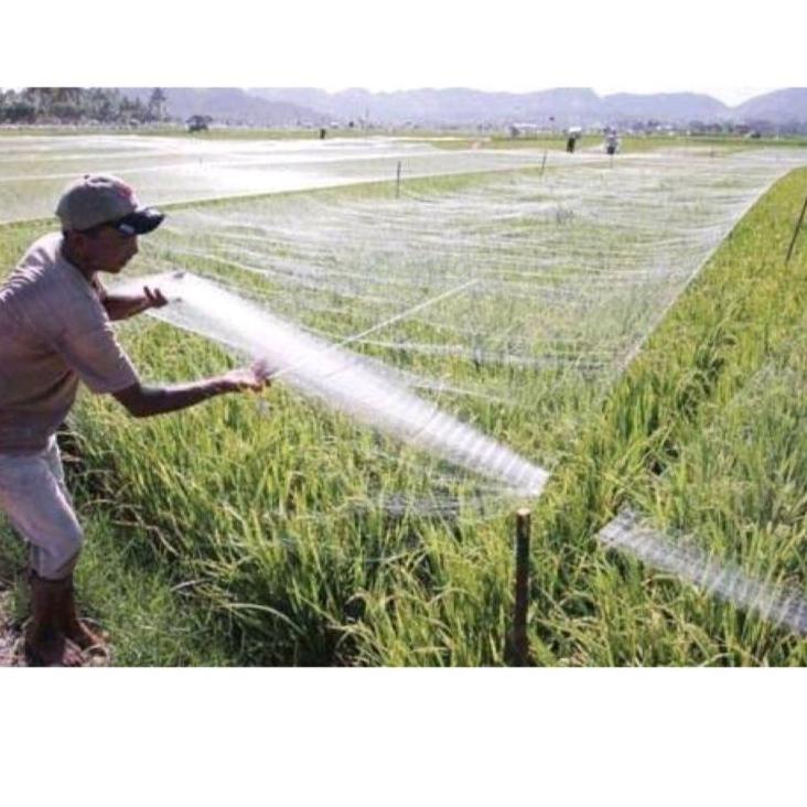 ｀ RWM Jaring burung sawah lebar 7,5m panjang 100yds jaring burung pipit jaring burung emprit jaring 