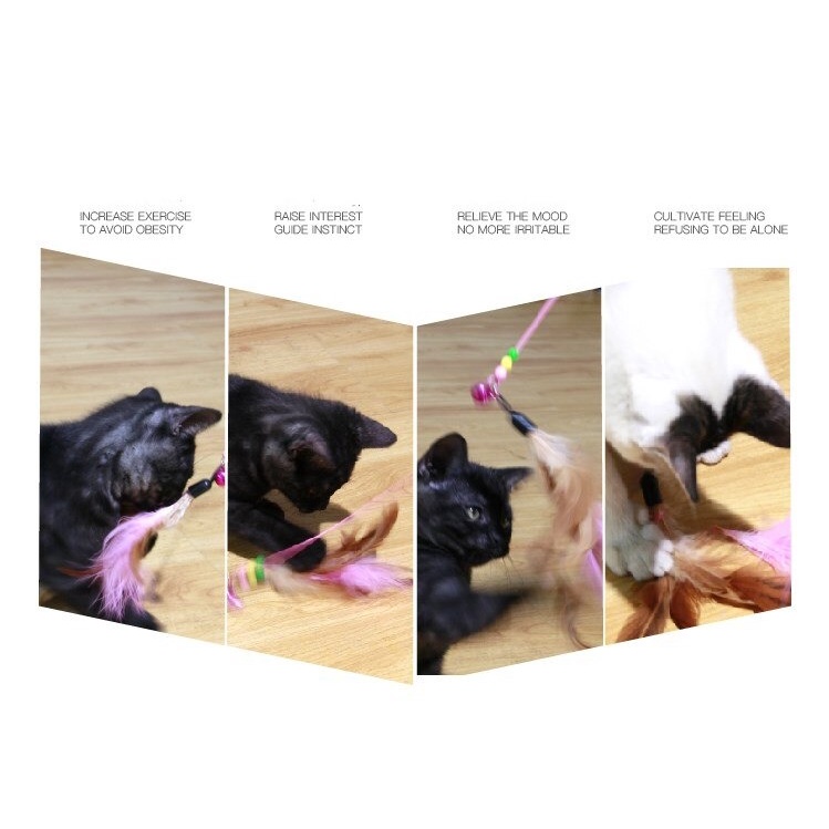 Mainan Tongkat Kucing Stick Kucing Bulu Angsa Cat Toy Teaser Bahan Lentur Kuat Tidak Patah FEFARM