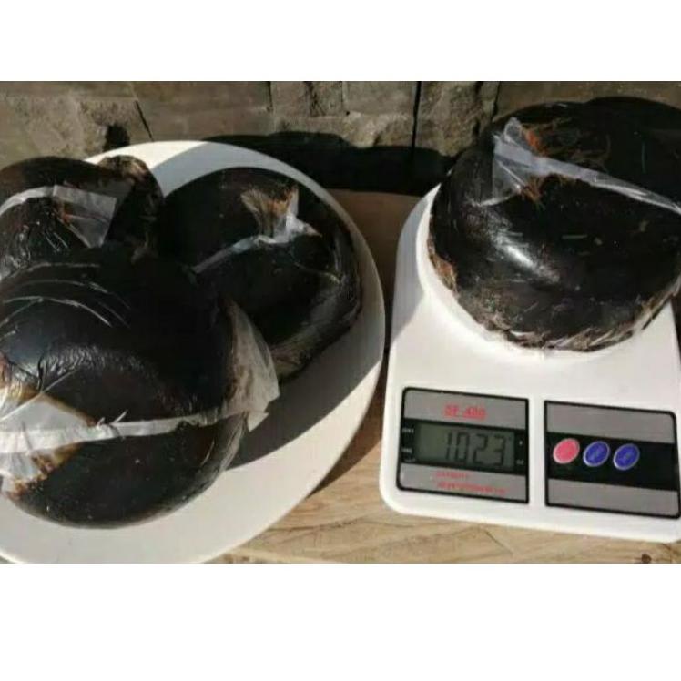 

Terbaik GULA BATOK LINGGAU - BERAT 1 KG 