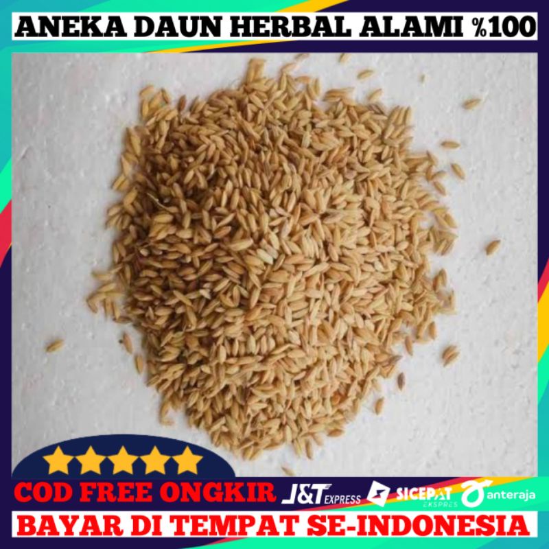 Gabah Beras Putih Atau Bangsal/500gran