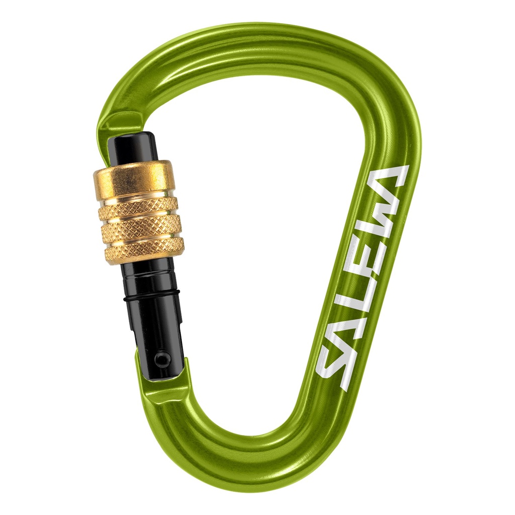 Salewa Carabiner HMS Pro Screwgate