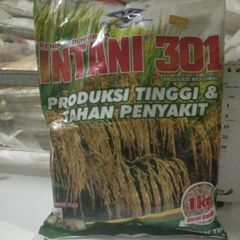 benih padi hibrida INTANI 301 @1kg