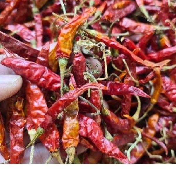 

PROMO HARI INI Cabe Rawit Teja Kering Pedas 500gr murah