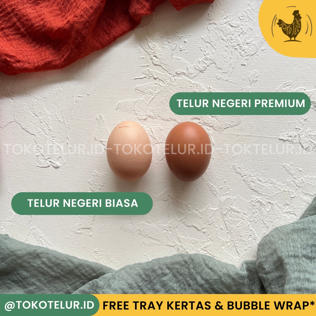 Telur Ayam Negeri FRESH-Segar/kg