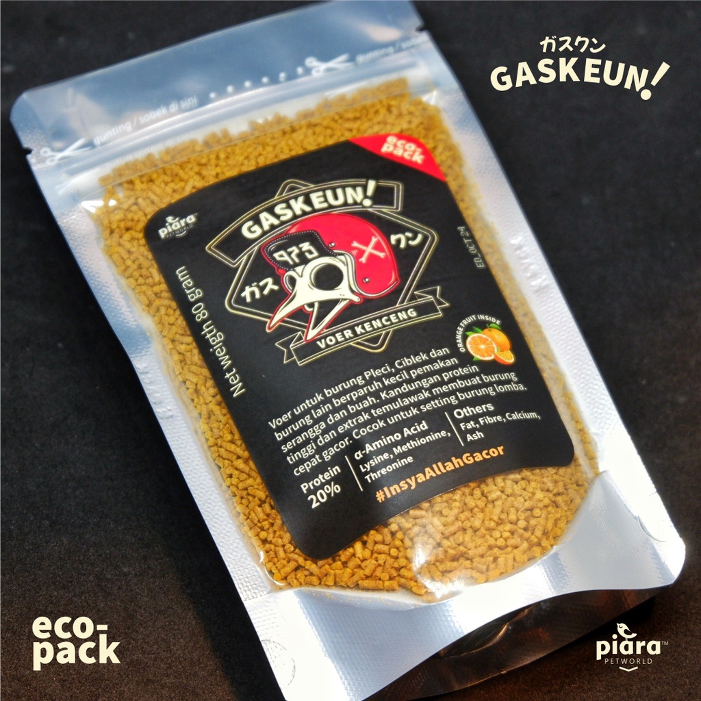 GASKEUN VOER PLECI CIBLEK GACOR BUTIRAN KECIL