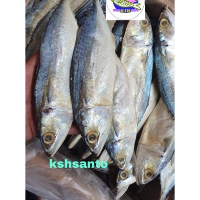

✨TERBARU✨ Ikan asin peda putih-500gram 