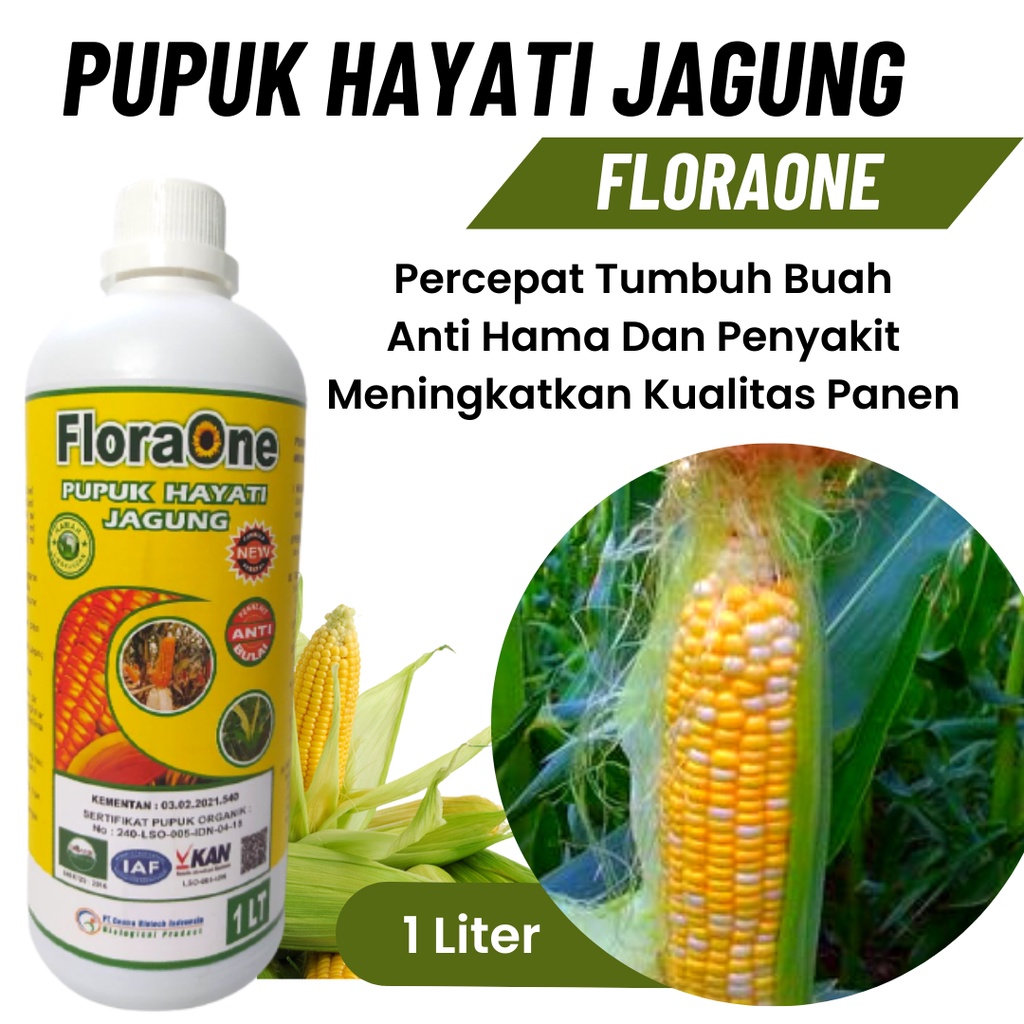 Pupuk Hayati Tanaman Jagung Berbuah Besar, Pupuk Jagung Cegah Hawar Daun, Pupuk Pelebat Buah Jagung 