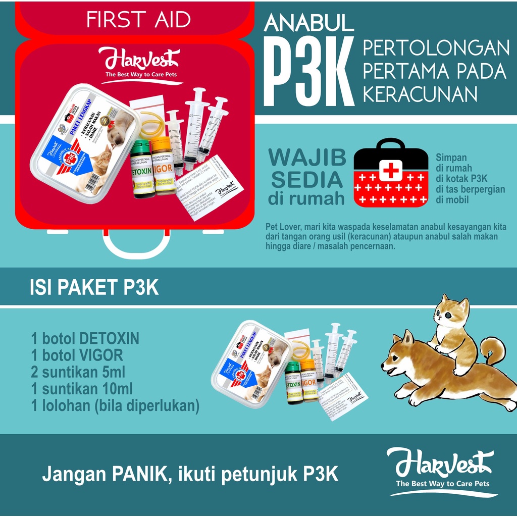 KOTAK P3K OBAT MENCRET KUCING ANJING MUNTAH DIARE RACUN TIKUS (PERTOLONGAN PERTAMA PADA KERACUNAN) A