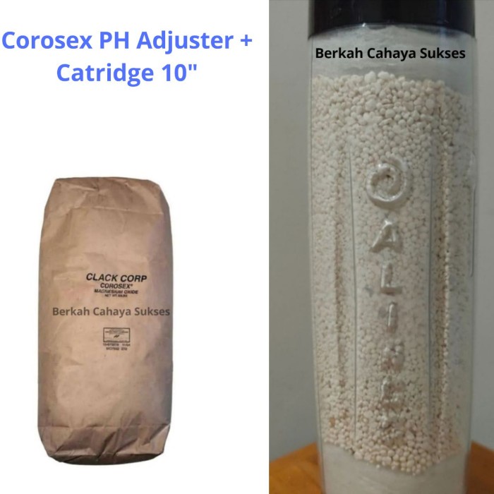 Corosex Ph Adjuster + Catridge 10"