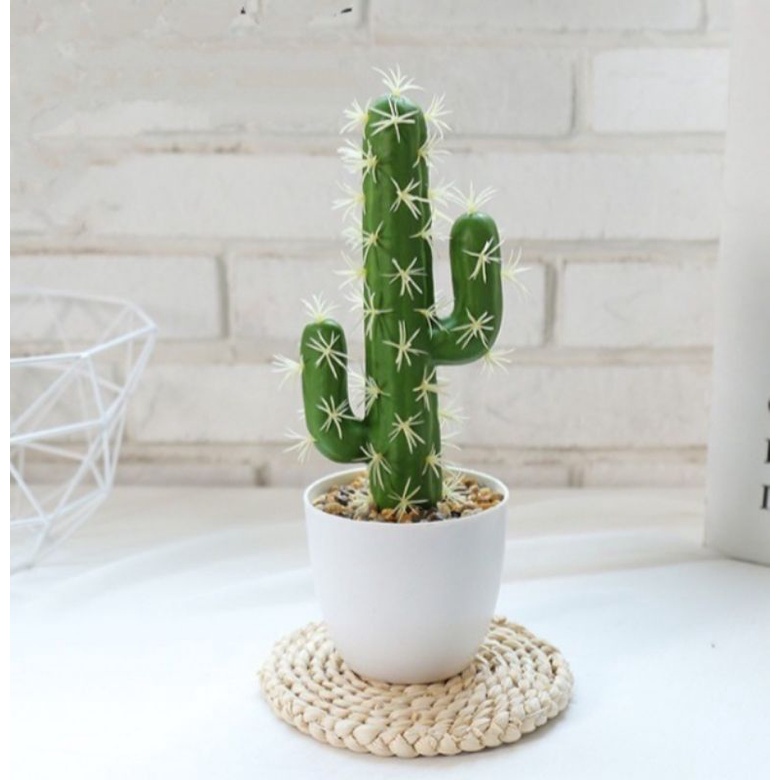N5 BUNGA HIAS BUNGA HIAS KAKTUS PLASTIK MINIMALIS