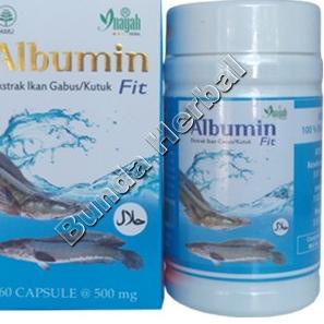 

trxRr8R2--Albumin Albuminfit Ekstrak Ikan Gabus Kutuk Inayah