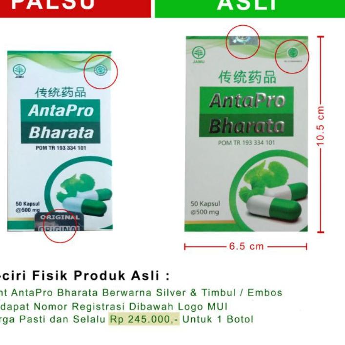 

GRATIS ONGKIR✅Obat Stroke Herbal Manjur Antapro Bharata|RA4
