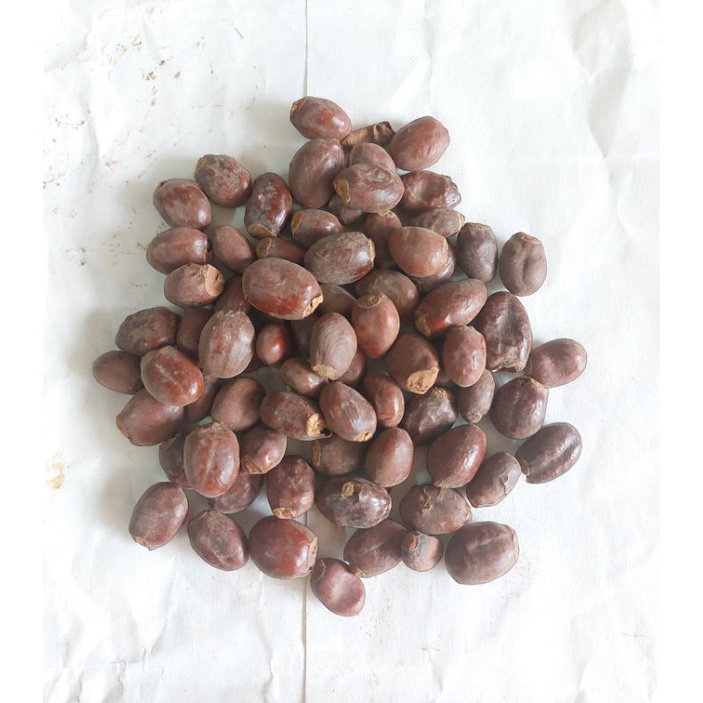 

RB Li Zhi He Ke Semen Litchi Lychee Seed Seeds Biji Leci