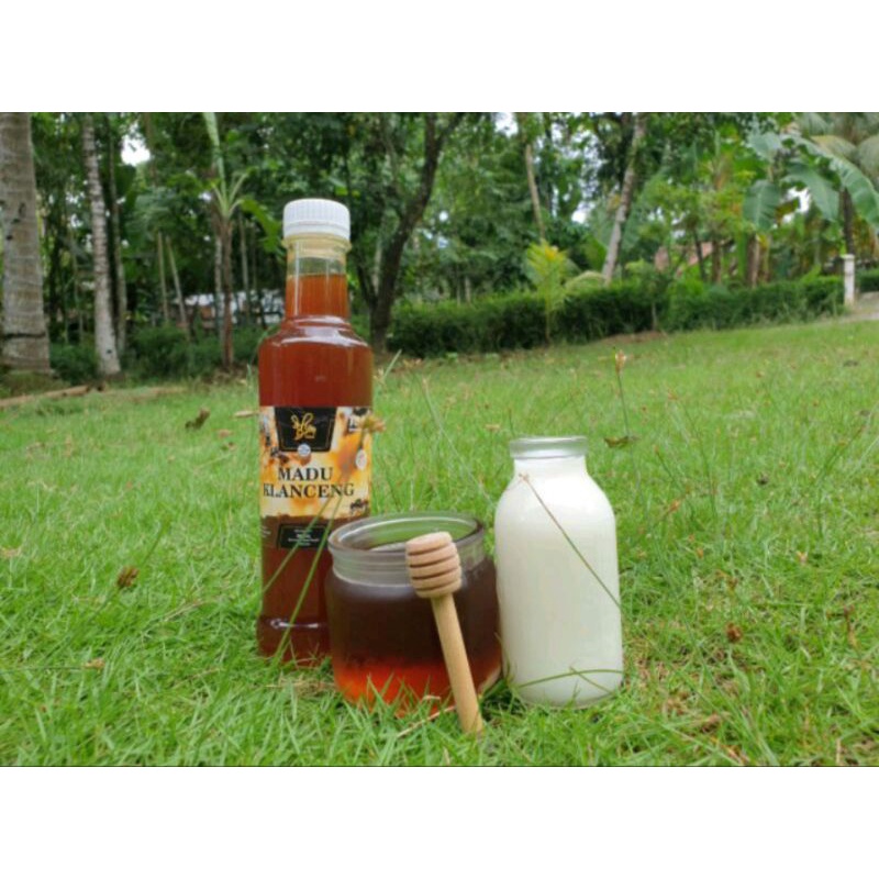 

Madu Klanceng 470 gr 100% Madu murni Panen Sendiri Sudah Terbukti Halall Ym Farm