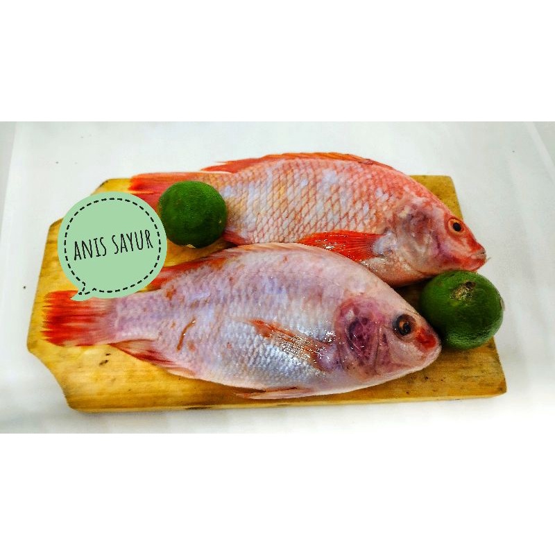 

ikan nila 500gr