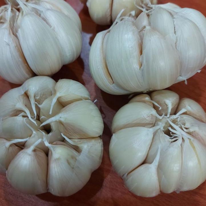 

KodeIi7I2--BAWANG PUTIH 1KG/BAWANG PUTIH/BAWANG PUTIH HONAN/BAWANG PUTIH BANCI/BAWANG BESAR