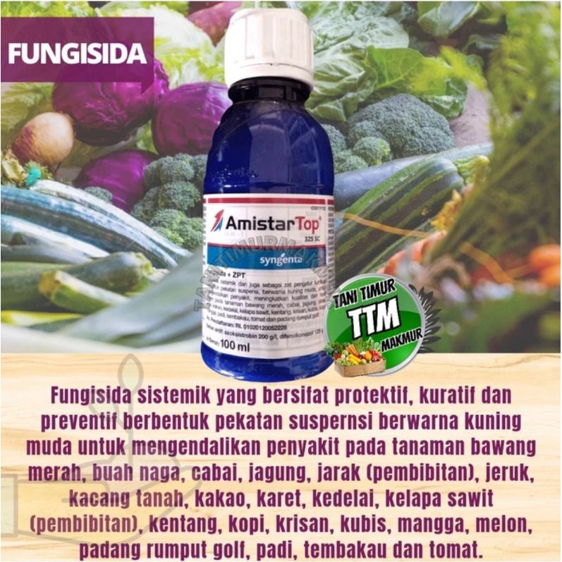 AMISTARTOP 100 ML-FUNGISIDA
