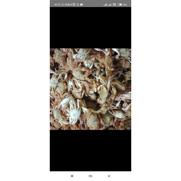 

kepiting goreng | Baby crabs goreng crispy 100gram
