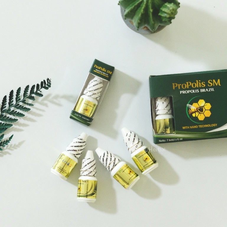 Obat Lipoma Benjolan Oles Penghilang Benjolan Di Leher Kelenjar Getah Bening Kanker Tiroid/Tyroid Propolis SM Herbal BPOM Aman Untuk Anak Dan Dewasa