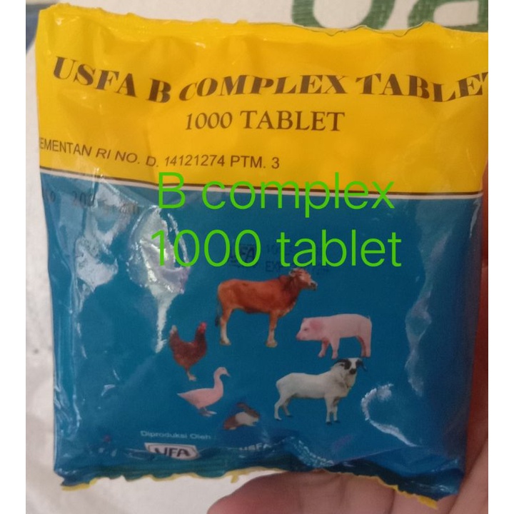 B complex vitamin babi.(ternak)