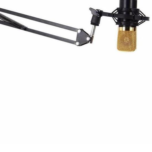 Stand Microphone Stand Mic Arm Suspensi