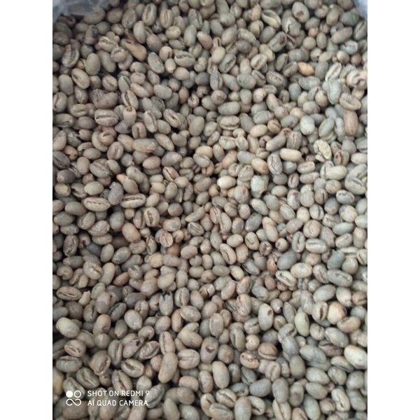 

Arabica Green Bean Ijen Kopi Lanang Biji Kopi Mentah Bulat Arabica Ijen