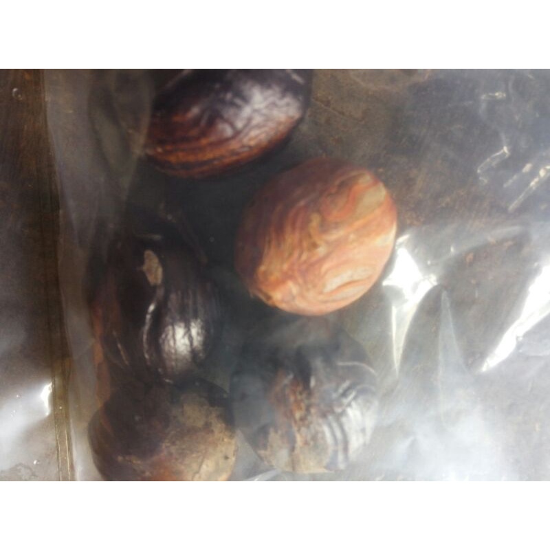 

Pala kering bumbu masak 10 biji