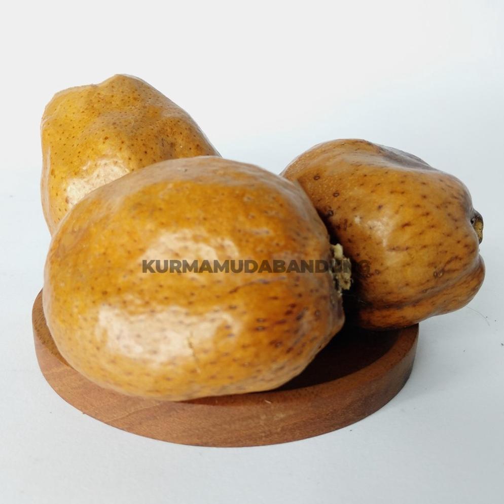 

Zuriat Mesir / Buah Doum / Dzuriat Promil / Buah Zuriat Mesir / Zuriyat Promil