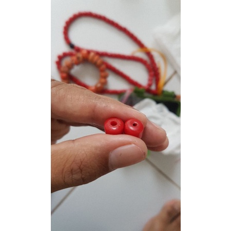 batu marjan jahrob marjan jarhab bukan marjan bombay bukan marjan laut merah