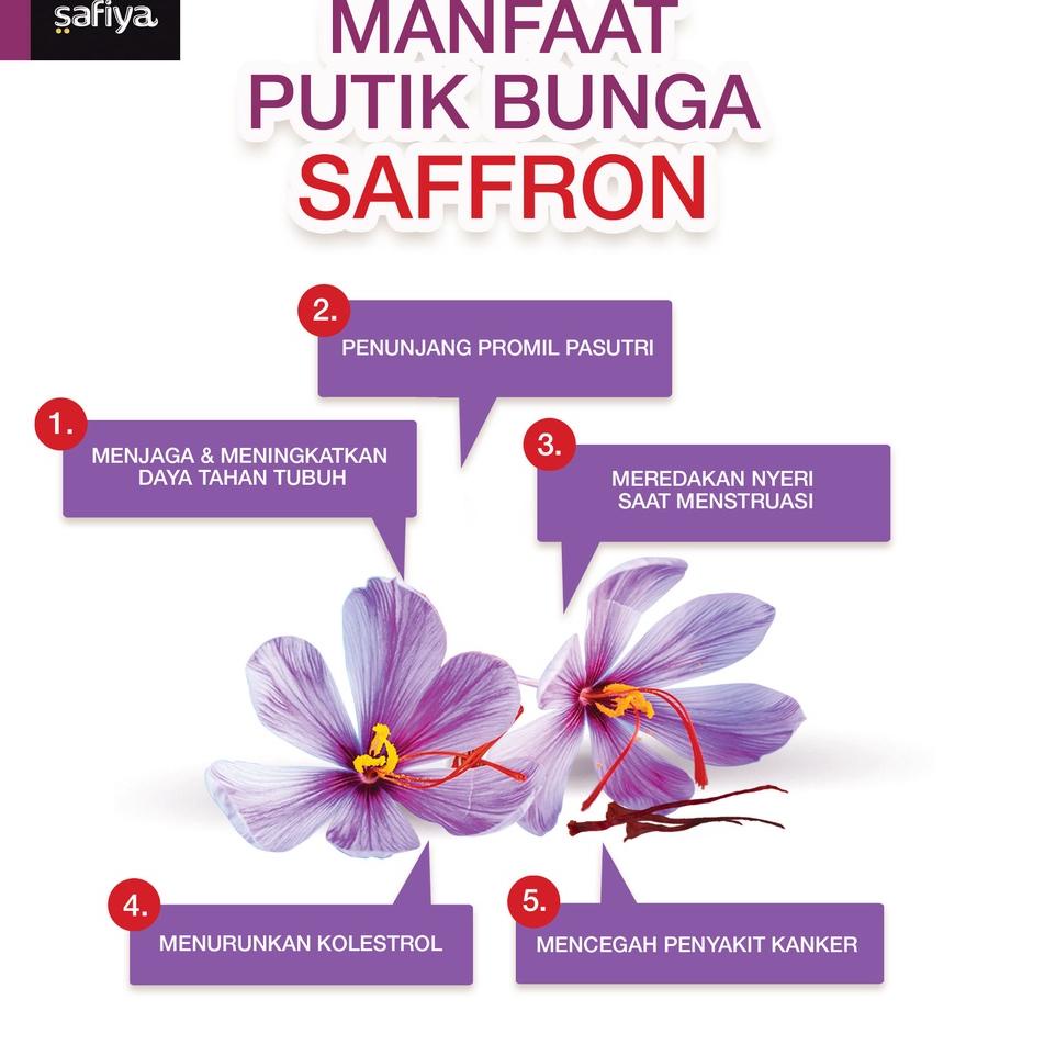 

Terbaik Bunga Saffron Super Negin 0,5 gram Finest Gold Safron Authenctic Safiya Food !!!