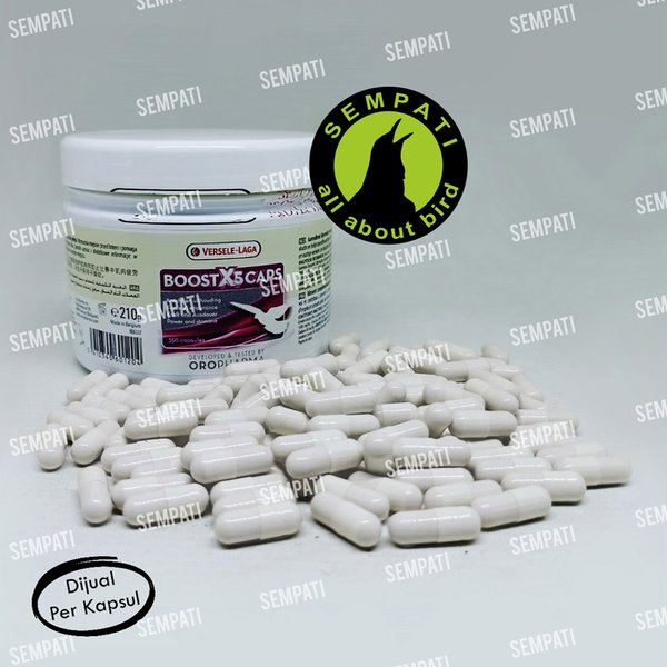 BOOST X5 CAPS VERSELE LAGA VITAMIN KAPSUL BURUNG MERPATI BALAP MENINGKATKAN TENAGA STAMINA PENGUAT O