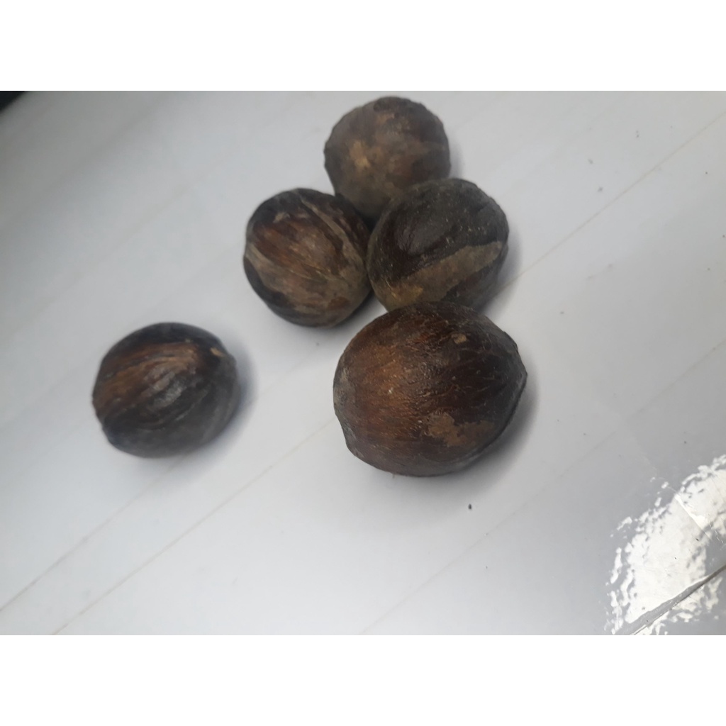 

biji pala untuh 1 pcs / 1 biji