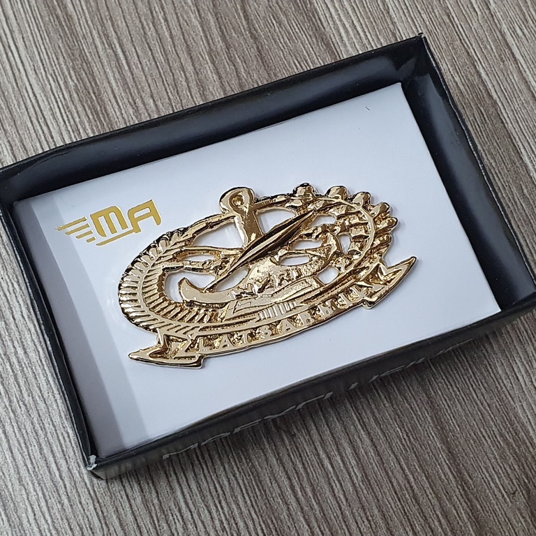 Brevet Wing Latsarmil Brivet Pin