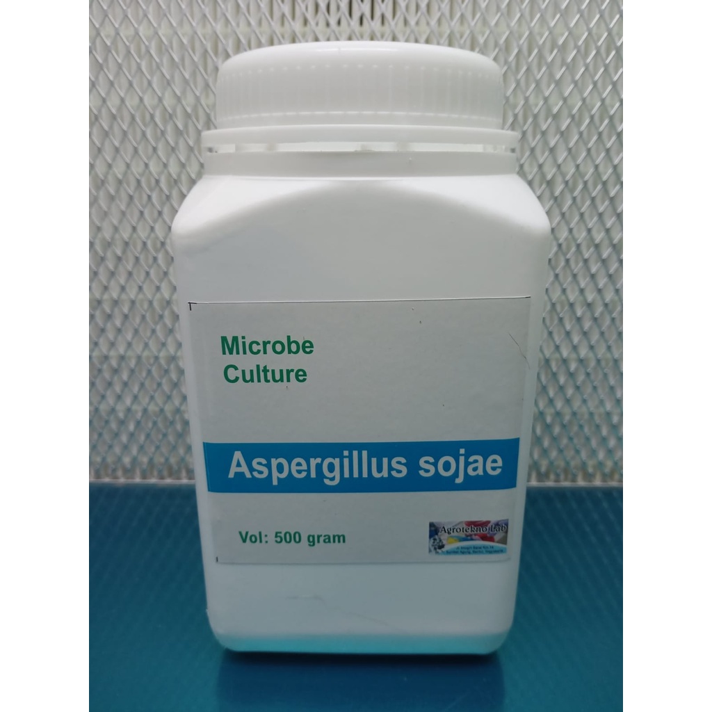 Jual Aspergillus Sojae Serbuk Shopee Indonesia