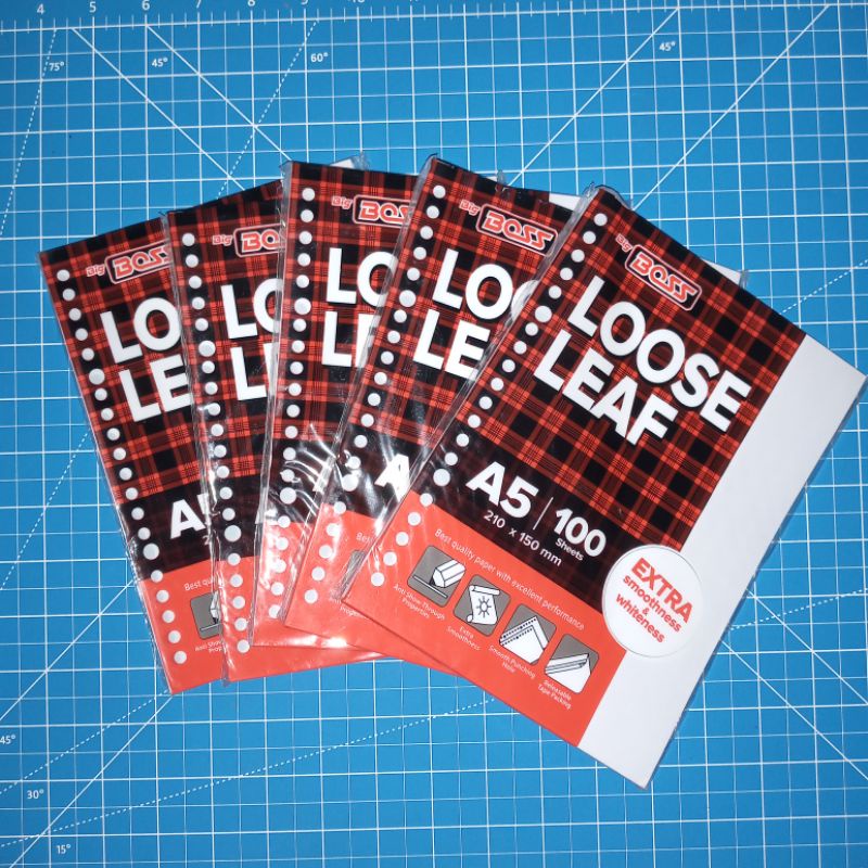 

[BIG BOSS] Loose Leaf A5 – Plain 100 Lembar