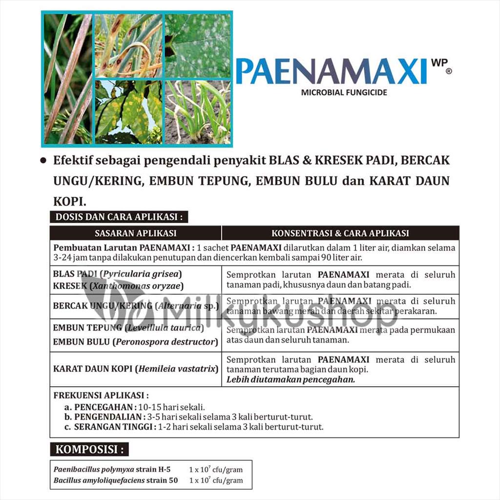 PAENAMAXI WP 100 GRAM PER SACHET BIO FUNGISIDA