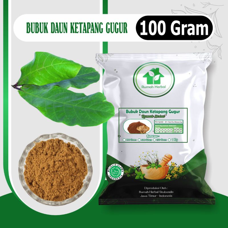 

bubuk daun ketapang gugur murni kemasan 100gr