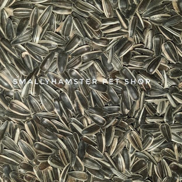 Kuaci hitam Hamster 1kg