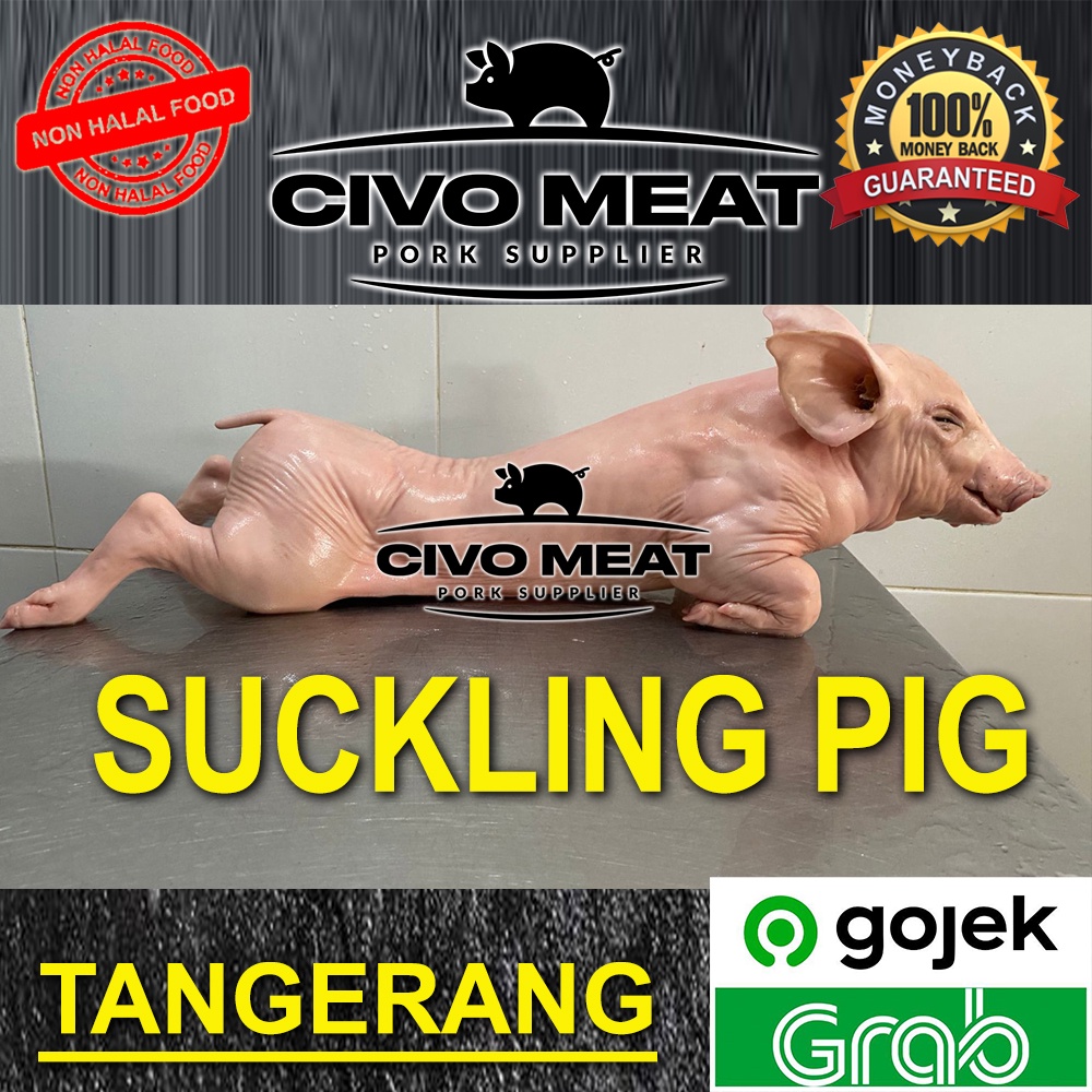 Sukling Pig / Anak Babi 1 ekor