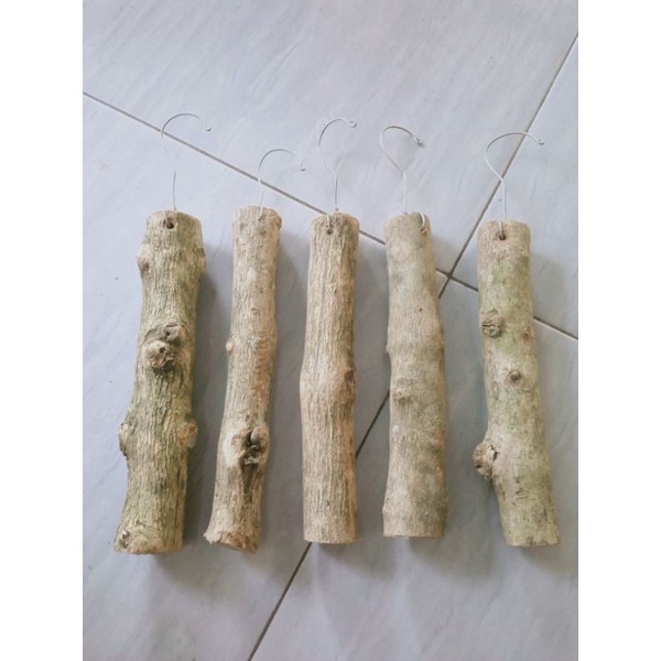 Media Papan Anggrek Kayu Kopi