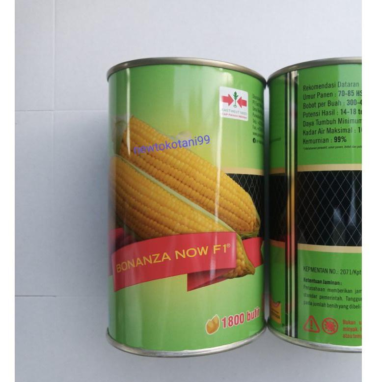 NAN.18Oc22х • Benih jagung manis BONANZA NOW F1 1800 butir kemasan kaleng jagung manis hibrida dari 