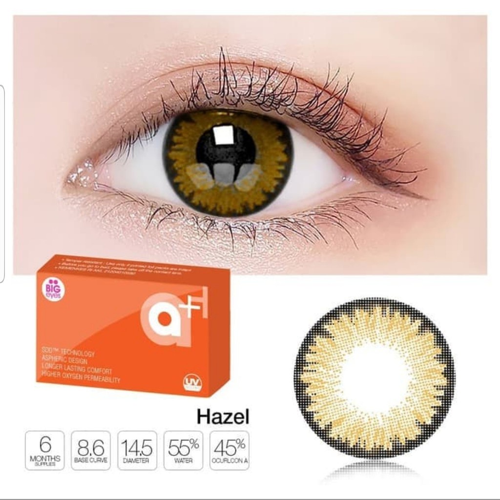 SOFTLENS A+ NEW / NORMAL &amp; MINUS / GREY &amp; HAZEL / 14.5MM / BY X2 EXOTICON / Soflens Soflen Softlen